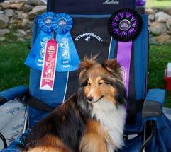 pairs ever) Starters Gamblers - 14 Inch 1st Place Starters Standard - 14 Inch 1st Place Starters Jumpers - 14 Inch 1st Place June 27th and 28th, Albany Obedience Club, AKC, Glenmont, NY Kelley