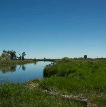 Acreage: The ranch consists of 980 deeded acres defined by numerous wildlife-rich water resources and the operational agricultural component.