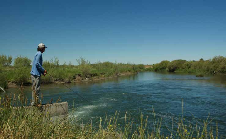 Live Water: (Continued) Texas Slough is a large spring creek that runs through the ranch for approximately 1 ½ miles with the average flow of 100 cubic feet per second (CFS).