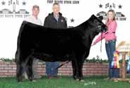 MAGS Uahuka 3602U 2010 National Champion Female for Magness & Bella Star Limousin.