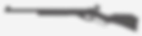 177 cal=560 fps (888) PC-149-424:.177, 888: $399.99 PC-1553-2858:.177, 887: $469.99 Champion 499 air rifle The world s most accurate BB gun!
