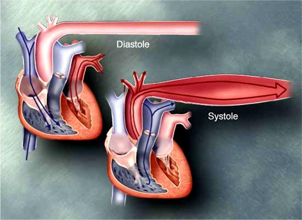 Diastole ( di-as-toe-lee ): The period of ventricular refill; baseline pressure.