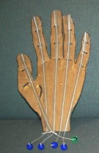 Flex and Bend Continued: Joints, Ligaments and Tendons 4. Tie a bead to the end of each string. 5. With the help of an adult score the knuckles on the BACK side of the hand.