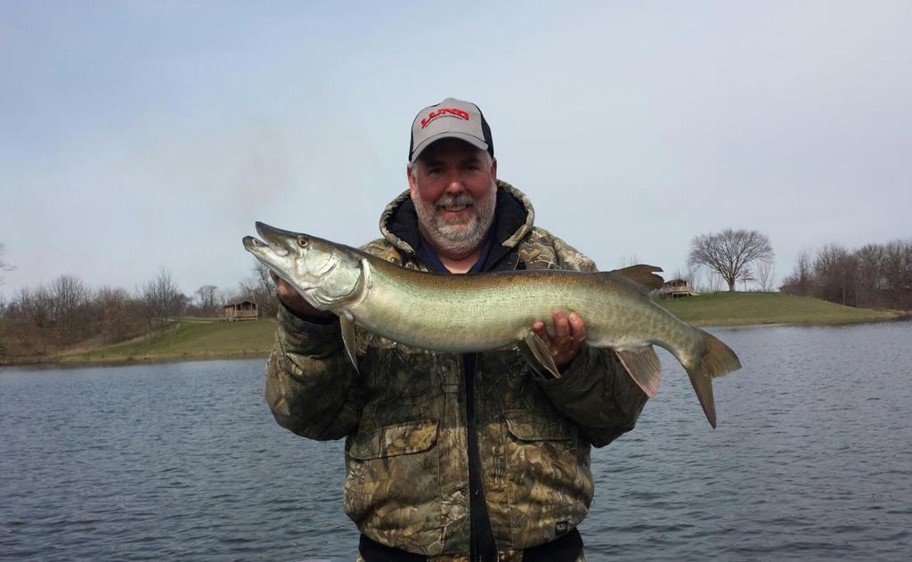 Duane with a 40 skinny male muskie on Prairie Lake near Springfield, IL. March 18. Caught trolling a baby depth raider.