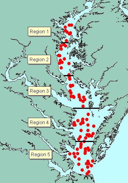 Data Sources ChesMMAP: 2002 Present (Ongoing) Bottom Trawl Survey Design: Random Stratified Targets Late-Juvenile-to-Adult Fishes Bay Main-Stem (Baltimore to