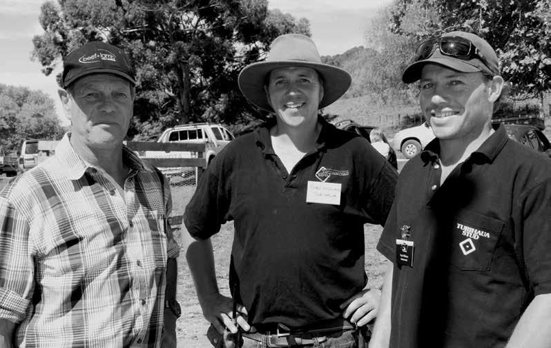 East Coast Angus Bull Walk Wednesday 30 April Thursday 1 May The team The boys Hamish, Toby and Paul Turihaua is now under the guardianship of the next generation.