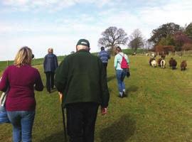 More about Health Walks What is a Health Walk? A health walk is a walk at a brisk pace which is a great way to benefit your health and can also be a good way of meeting people.