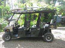 Jungle Buggy Private Waterfall Tour Our brand new and very unique Go anywhere, ATV Limousine is the perfect way for your entire family or group to travel through the jungle, relaxing and taking in