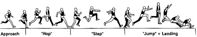 2. TRIPLE JUMP SEQUENCE The triple jump is divided into the following phases: approach, hop, step, jump + landing. 3. BIOMECHANICAL PRINCIPALS The distance jumped depends upon a number of factors.