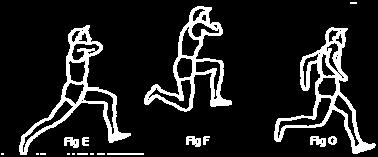 The Step Phase Coaching Points The take-off leg is fully extended with the drive leg thigh just below parallel to the ground (Fig E) The take-off leg stays extended behind the body with the
