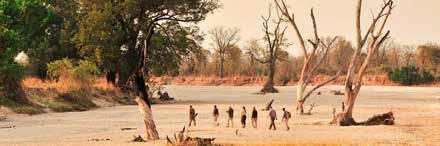 ZAMBIA HOME OF THE WALKING SAFARI A Walk On The Wild Side Guided 8 Days / 7 Nights The South Luangwa National Park is one of the greatest wildlife sanctuaries in the world.
