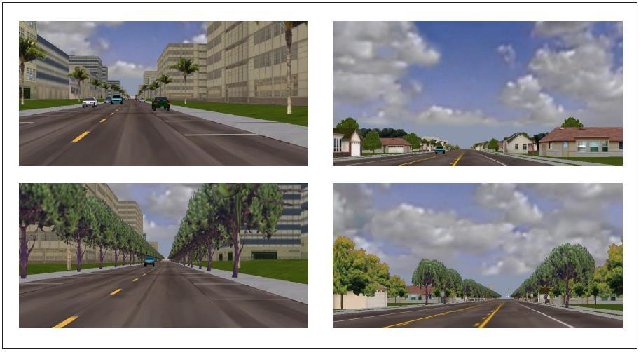 Figure 15 Visual Impacts of Roadside Plantings Guidance: Vegetation growing proximate to the roadway edge affects driver behavior.