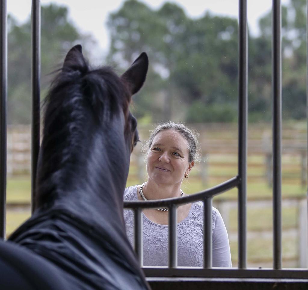 Pikko del Cerro HU and Anne Sparks have had a special connection since she saw him take his first breath at her farm. He currently lives with Lisa Wilcox at Marsh Pond Farm in Wellington, FL.