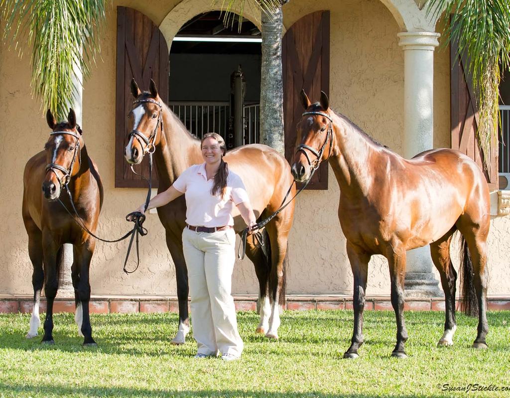 Few American sporthorse breeders have had the success that Horses Unlimited has experienced over the past several years.