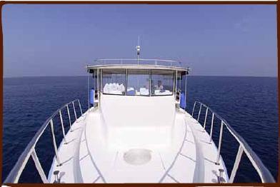 Private Boat Hire Take a private trip on one of our fleet of beautiful boats (pictured on the following pages) and leave your stresses behind as you escape out across the Indian Ocean.