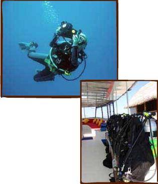 Diving pricelist Please note: beginner courses include all equipment and boat fees. Dive prices and advanced courses include 11L tank and weights, but do not include boat fees and equipment rental.