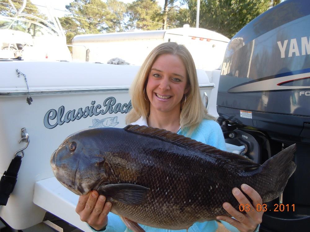 One of our Master Anglers is at it again Classicrockfish 5 citation tautog report for March 2 2011 Well it all started Tues (last) night around 5:25pm, Kevin said if you can get crabs, I\'ll take you