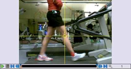 Electromyography The gait pattern results from the interaction between external forces (joint reaction and ground reaction) and internal forces (produced by muscles and other soft tissue).