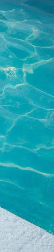 Concrete Pools Overview: Concrete pools have been around for many decades and remain a popular choice.