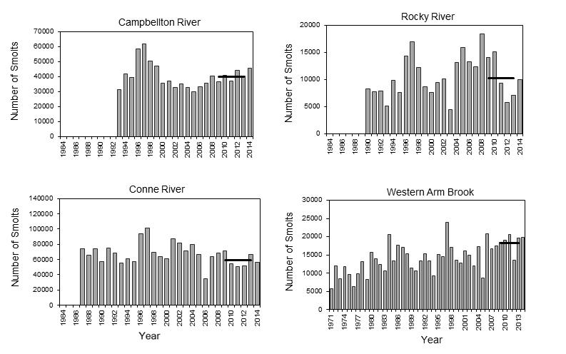 Figure 6. Atlantic smolt production (bars) of four rivers in Newfoundland. Horizontal black line represents previous five-year mean. Figure 7.