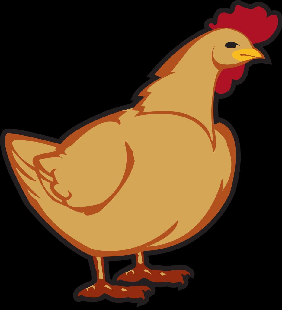 Kalamazoo County Project News Poultry Project news 3 Summer is a busy time in the poultry and 4H world.