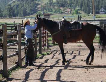 Ranch activities include horseback riding, fishing, hiking, bouldering, swimming, playground, sand volleyball, basketball hoop, horseshoe pits and trapshooting.
