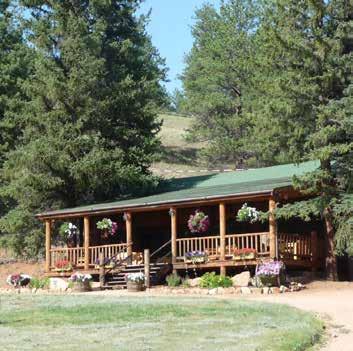 The grounds and cabins are all well-kept and the cabins come complete with western log furniture and all amenities including artwork.
