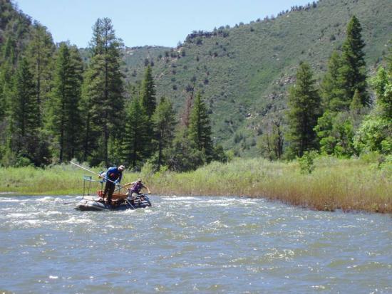 Ponderosa Canyon Native Fish Surveys 19 miles of transitional water 2 pass survey in 1993, 2005, 2007 Decline in trout since 1993 FMS relatively abundant in 1993 but absent