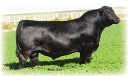 $88$ lundgren angus ranch $ yearling bulls Larry presenting KS scholarship at 2017 NJAS.