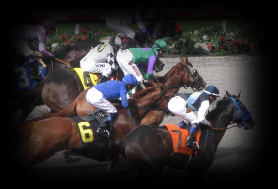 Multi-Track Stakes Races