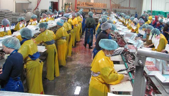 Seafood Processing - Disadvantages Undeveloped infrastructure -Lack of infrastructure, e.g. roads, power, water, ports, etc.