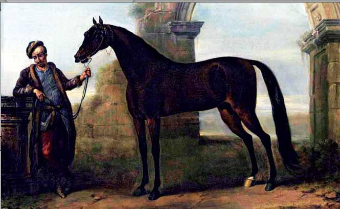 The horse was believed to be about eight years old at the time, placing his year of birth at around 1679. In 1689, Captain Byerley was dispatched to Ireland; he took the stallion with him.