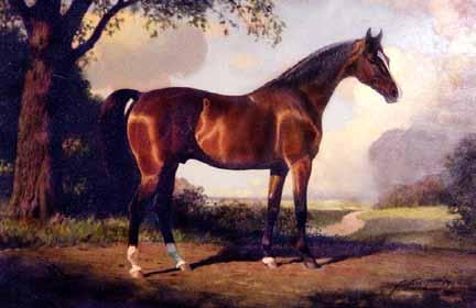 The Byerley Turk entered stud at the family seat at Middridge Grange, County Durham and later stood at Byerley s Goldsborough Hall, near Knaresborough, in Yorkshire, England.