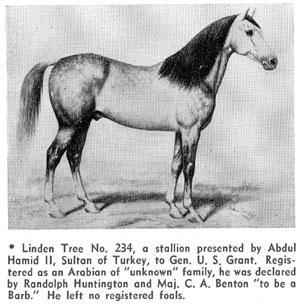 They asked for a provenance of documented parentage from the exporting country as a requirement for the importation of Arabian horses used to establish the breed here in the United States.