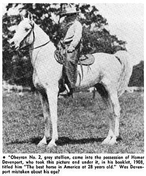 The Chicago World s Fair, held in 1893, drew widespread public attention and had an important influence upon the Arabian horse in America.