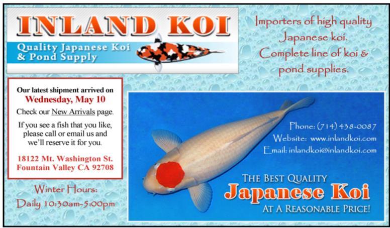 See a fish you like, call or