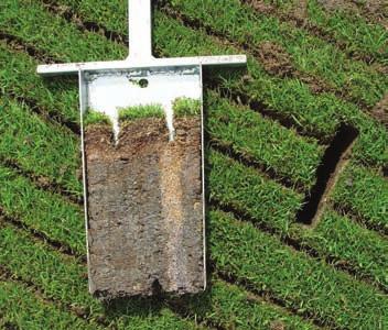 Each component of a green has an important but different role to play, whether it is the USGA rootzone, drains, mechanical practices such as deep tine aeration.