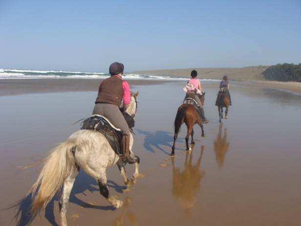 saddle. Today s riding will take you along sheltered beaches, into hidden coves and beautiful lagoons. After a hearty lunch, your afternoon ride is a breathtaking ride along unspoilt beaches.