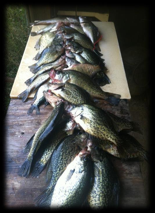 Anglers are encouraged to harvest a 1 fish limit of bass.