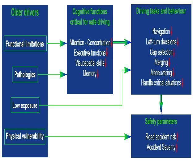 Cognitive functions critical for safe driving Attention quick perception of the environment Executive functions process multiple simultaneous environmental cues rapid, accurate and safe decisions