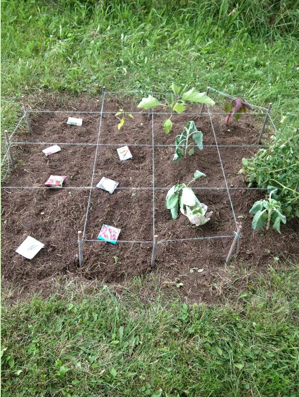 Dig In Gardening Gardens can be in ground (shown) or in a 4x4 planting box provided.