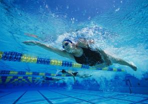 Swimming Federation (NSF) and will also follow NFS s rules and regulations.