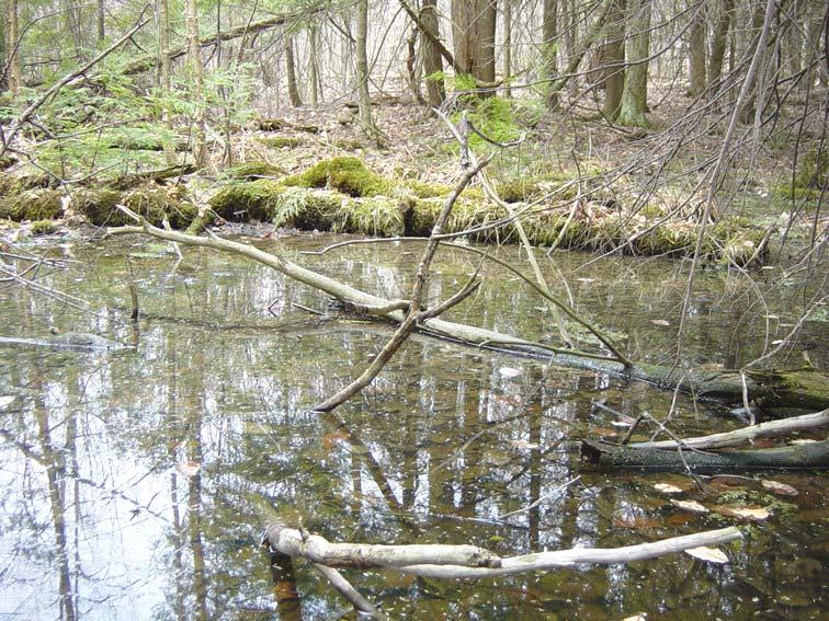 This vernal pool assessment form was developed through funds provided by the Environmental Protection Agency to establish a GIS user interface with the capability to not only integrate all of the
