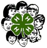 Through 4 H and the opportunities it provides, 4 H members have the ability to participate in many events and activities, as well as apply for scholarships, travel the country, and meet new friends.