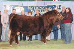lot 64 THREE EMBRYOS Purebred Limousin Red Double Polled MAGS SASQUATCH MAGSWL USUAL SUSPECT 538U MAGS PHANTOMS PRIZE EXLR DAKOTA 353G EXLR SHEZA 518P EXLR 255J EXLR NEW GENERATION 071M MAGS FRUITFUL