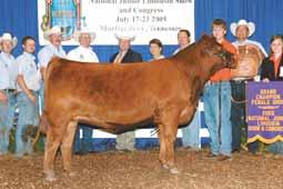10 40 - - - - - - - - - - - - - - These red purebred future calves will have instant value for the new buyer - Sired by the trip crown winning bull MAGS WLR Usual Suspect and from the many times show