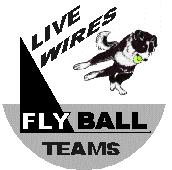 Present a BRITISH FLYBALL ASSOCIATION Limited Open Team Indoor Tournaments (Limited to 42 teams per day) 1 ring in a Marquee plus a 2 nd ring available For OPEN, STARTERS & FUN EVENTS at CHESHIRE
