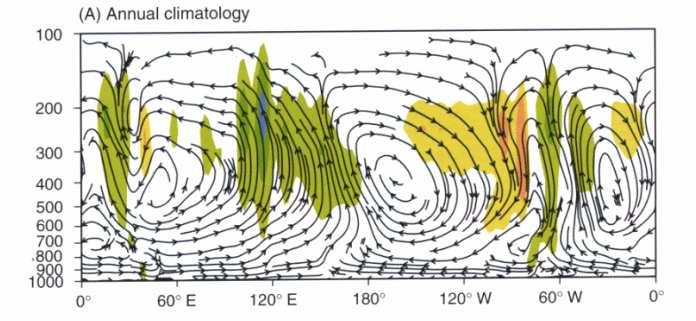 L H Equatorial circulation (NCEP reanalysis). Strong up/downward motion coloured.