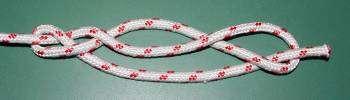 To tie this knot, start by looping the rope around twice in order to create three strands to