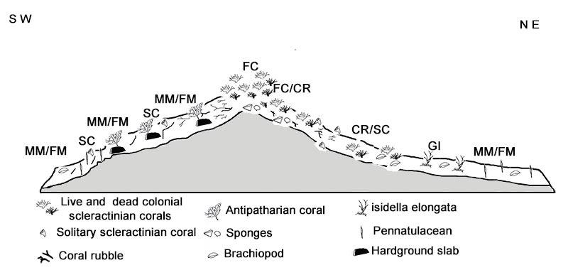 5.4.2 - Map of the distribution of deep coral in the western Ionian Sea (Savini and Corselli, 2010; Upper Map) and diagram and distribution of facies (FC = Coral Framework; CR = Coral Rubble; SC =